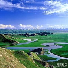 公美约同游龙安地僧留小饮归途一绝