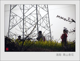 偶留羊振文先辈及一二文友小饮日休以眼病…因成四韵