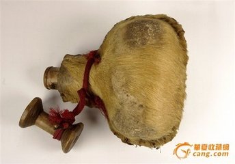 题药囊