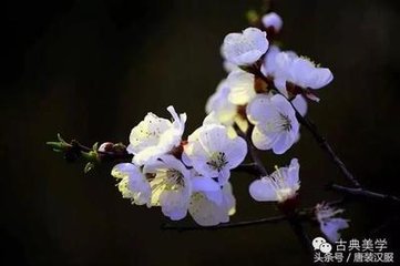 柳下暗记