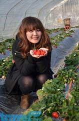 四月二十八日作又行遍人间病不禁，