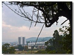 邢太保有鹤折翼以诗伤之客有记翎经冥三韵而