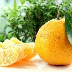食柑
