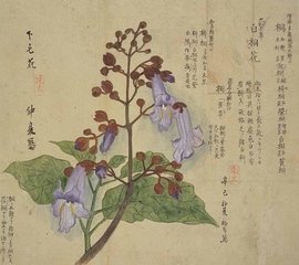 使东川·江花落