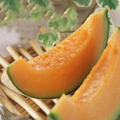 戏咏西州风上