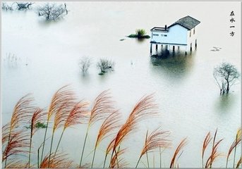戏作野兴
