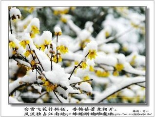 斜径