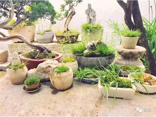 东窗小酌