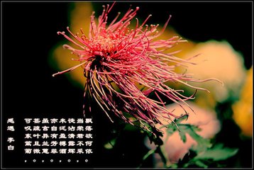 送窦九归成都
