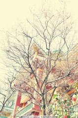 同赋梅花十二题·江村