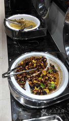 别无锡南禅莲老