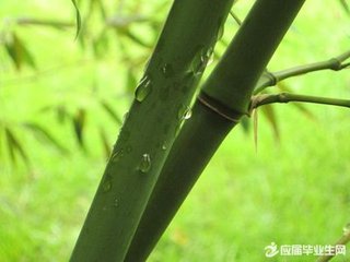 秋霁丰德寺与玄贞师咏月