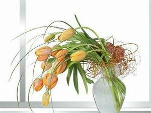 减字木兰花·东风似客