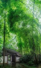 郊野戏题