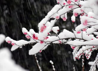 霜天晓角（和赵教授韵）