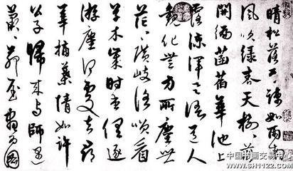 赠僧辨端