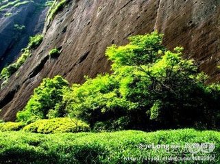 送沈鍊师归武夷