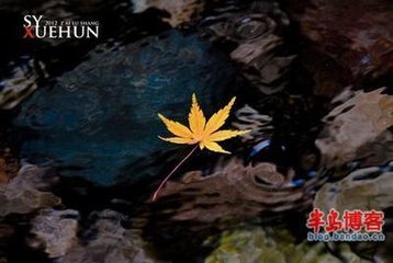 襄事毕次旧题韵