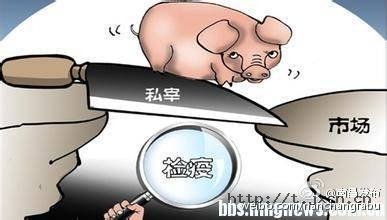 赠南昌宰