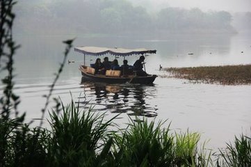 蓦山溪·黄金线软
