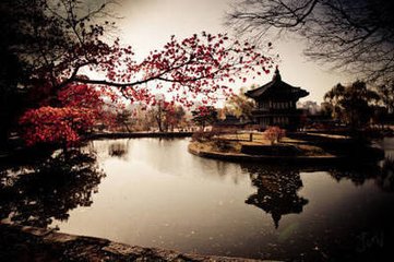采桑子（赠丽华）