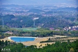 赋桐庐陈守瑞粟图