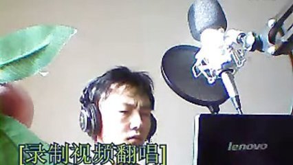 如梦令·门外落花流水