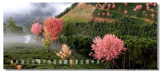 南涧寻韩仲止不遇