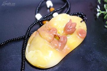 黄芙蓉