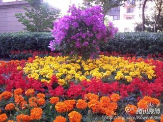 蝶恋花（用宜笑之语作）