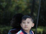 县中诸花多交代江君所栽牡丹已过芍药方盛偶