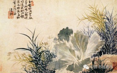 棹歌行·妾家白苹洲