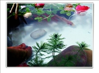 东郡怀古二首。王京兆
