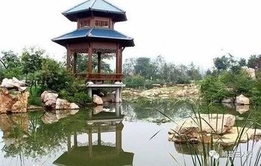 过褐山矶值风