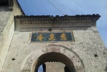 慈泉