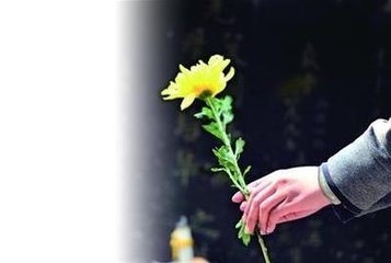 惜莲花