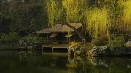 折杨柳歌词（二首）