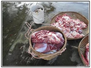 试制举人呈同舍诸公二首