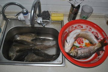 过刘山人园