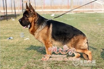 郭外寄王录事