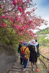山中寄樊仆射（一作寄襄阳樊司空）