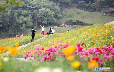 题答筤谷目