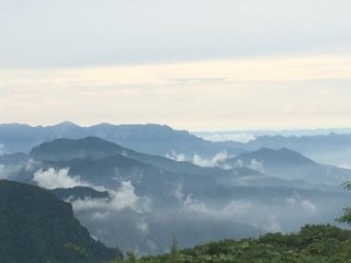 十九日出曹门见手牛拽车