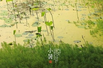 周五声调曲 征调曲 六